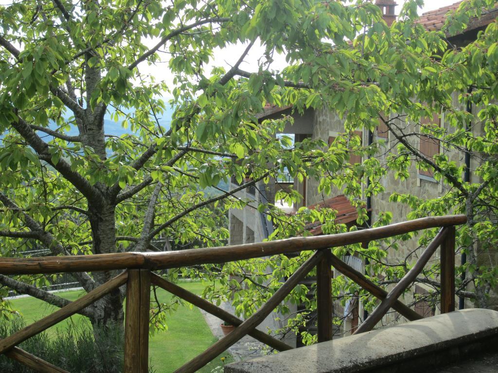 Bed And Breakfast Country Hill Arezzo Zewnętrze zdjęcie