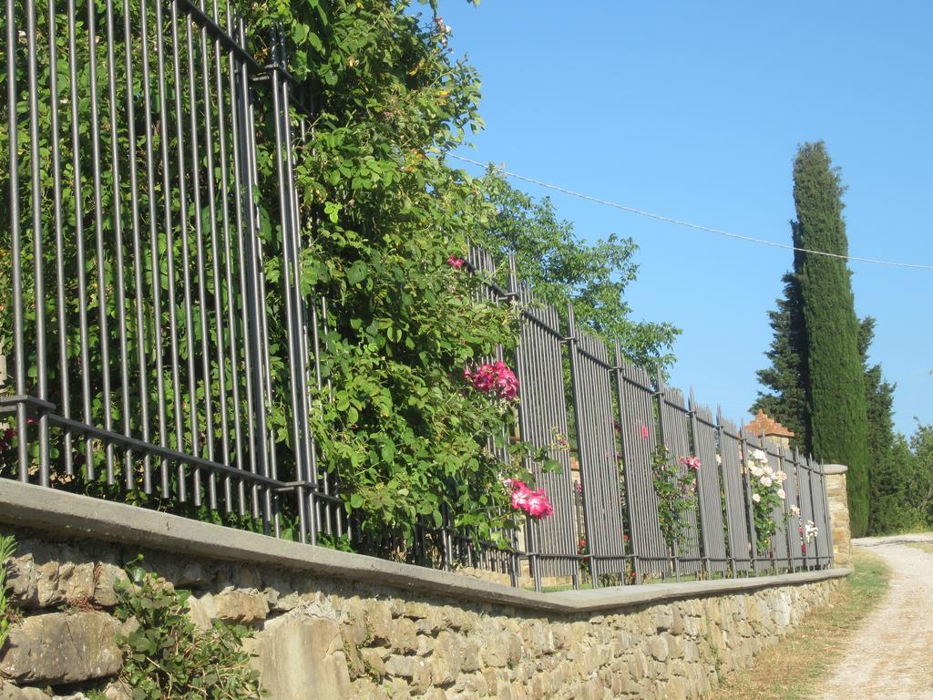 Bed And Breakfast Country Hill Arezzo Zewnętrze zdjęcie