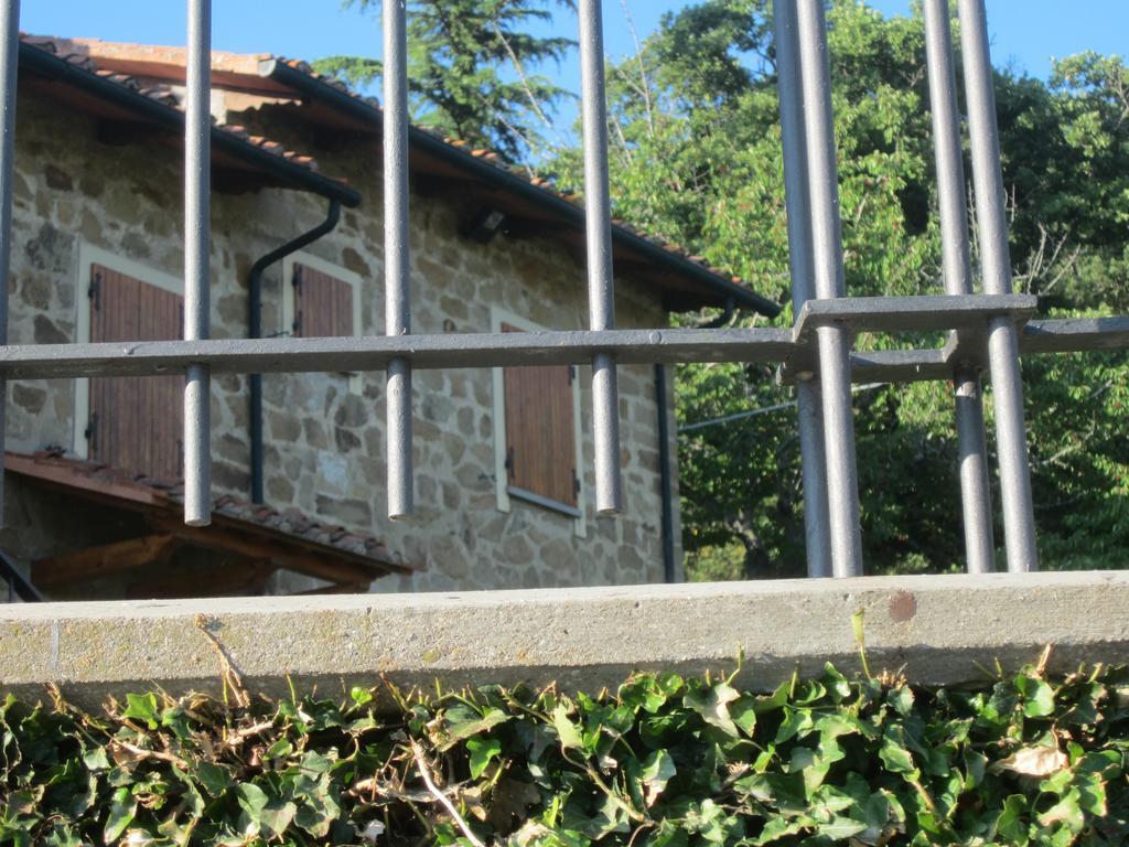 Bed And Breakfast Country Hill Arezzo Zewnętrze zdjęcie